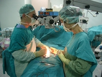 Testis Ameliyatı Riskleri ve Sonrası